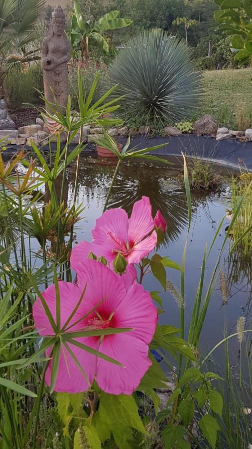 Un Parfum De Thailande, Ressourcement Et Massages Curemonte Exterior foto